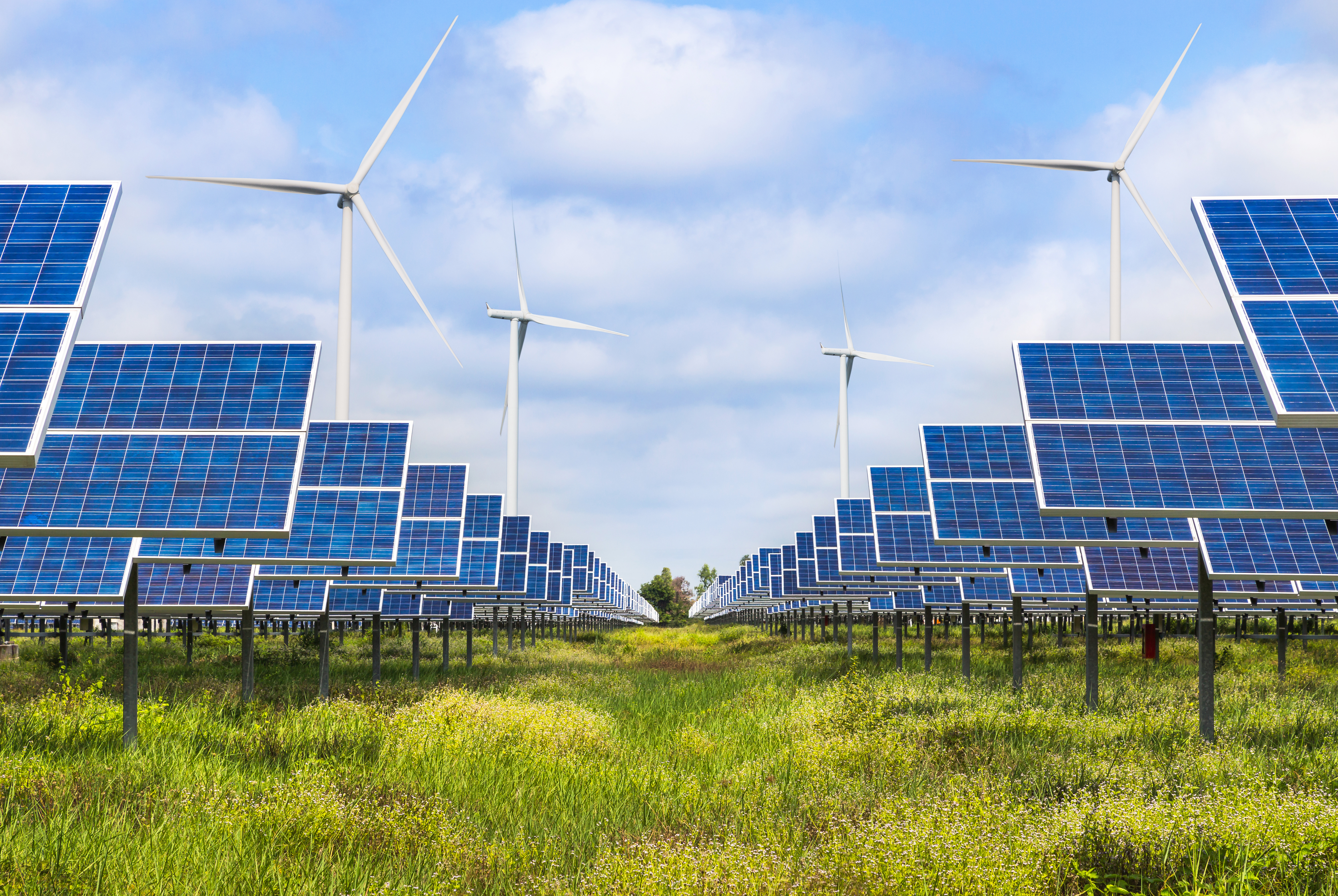 Ground-mounted solar array with wind turbines in the rear
