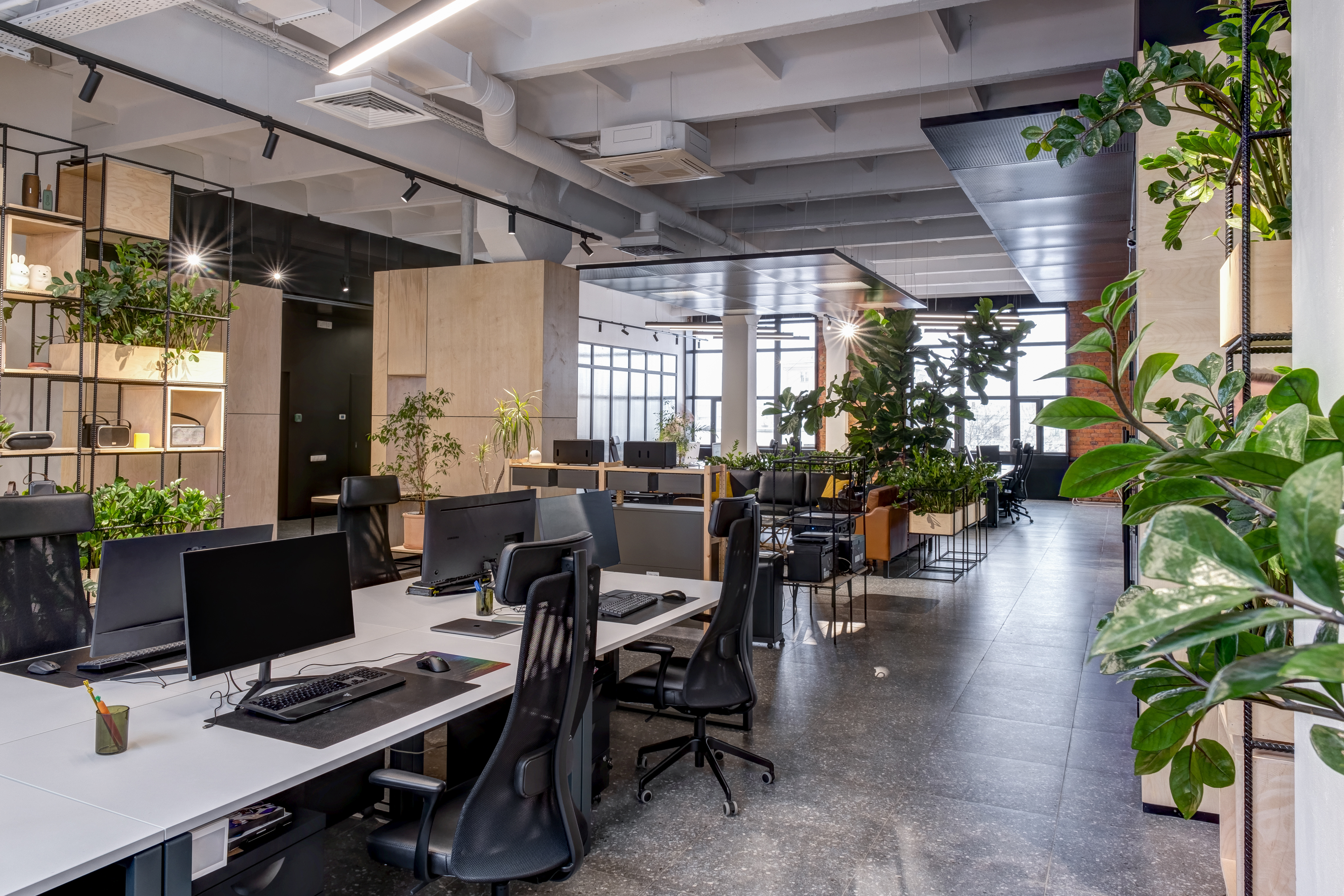 Modern office with work stations, natural light, and plants