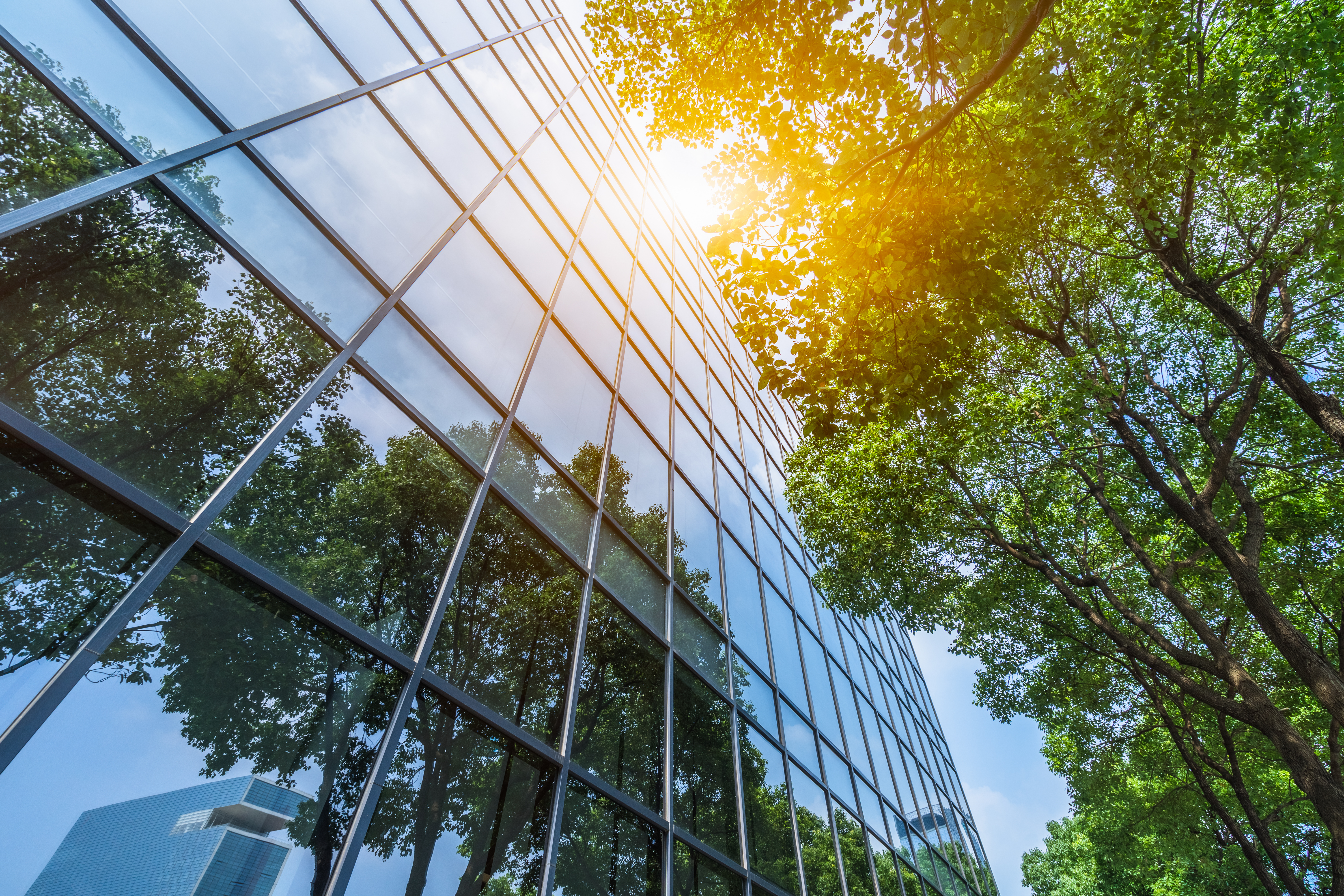Modern building with sun and trees