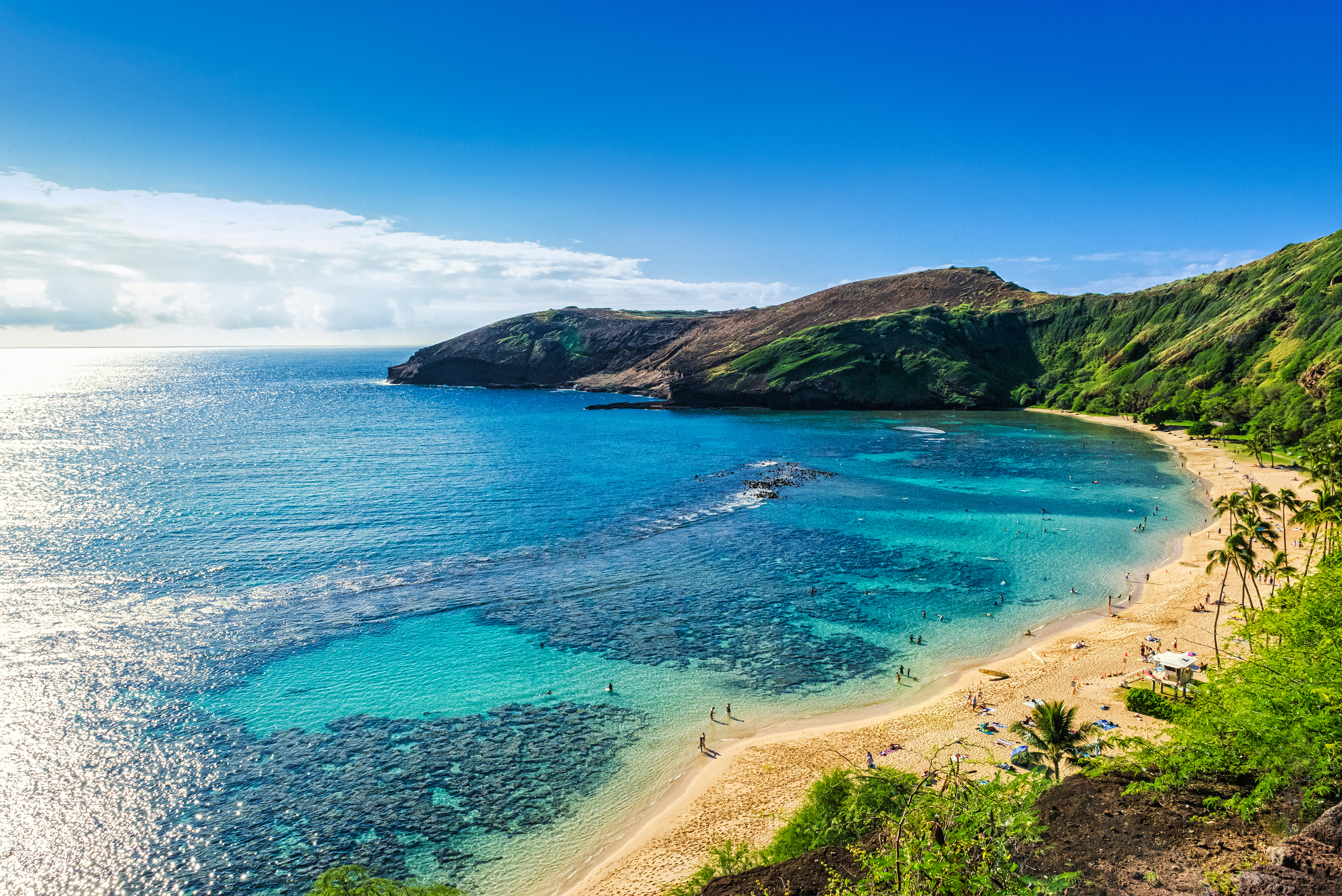 Honolulu, HI beach park aerial view