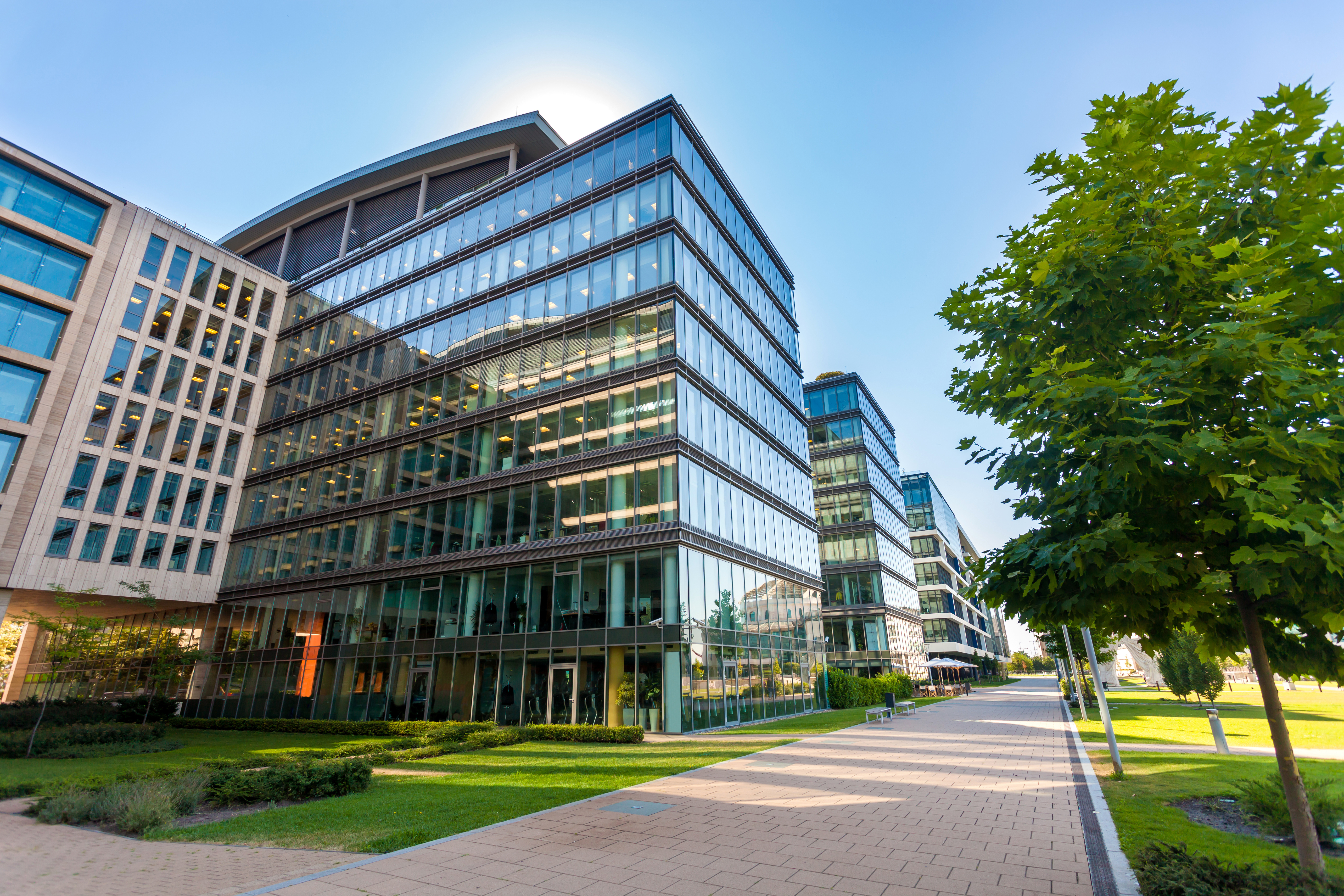 Modern building with sidewalk and trees